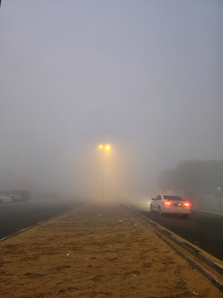 Image uploaded by Afrin