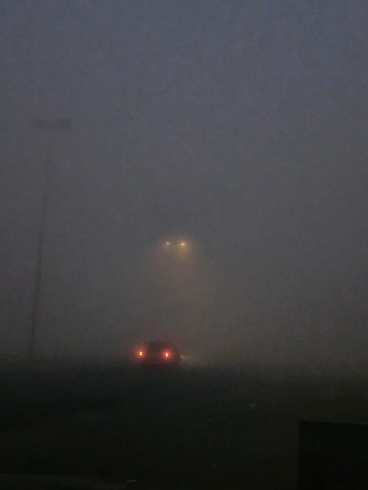 Image uploaded by Afrin