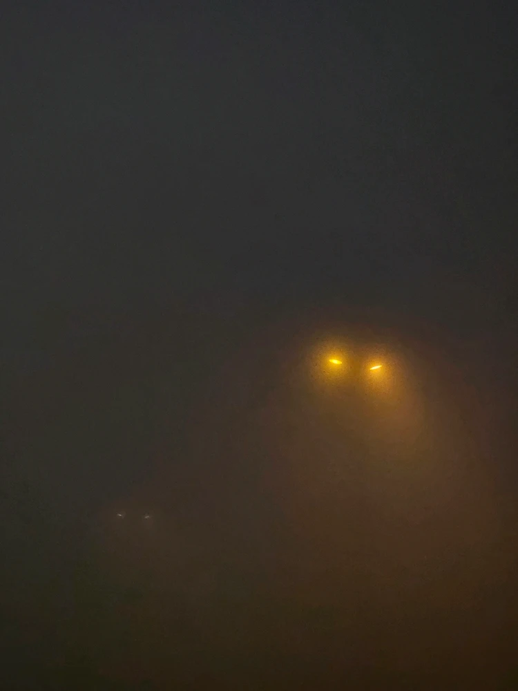 Image uploaded by Afrin