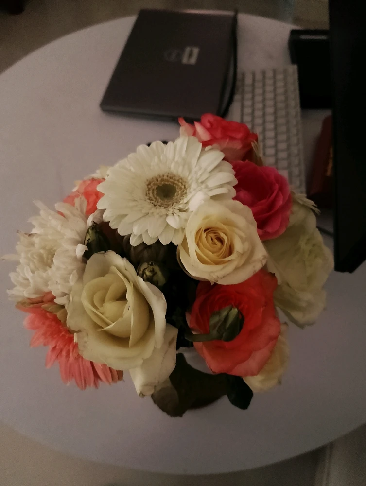 Image uploaded by Anupama