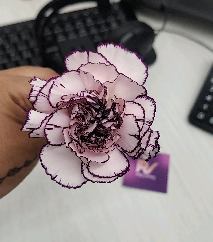 GIF subido por Claudia Irma Maribel