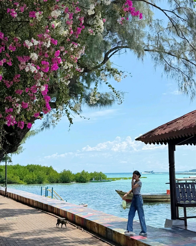 Image uploaded by Diane