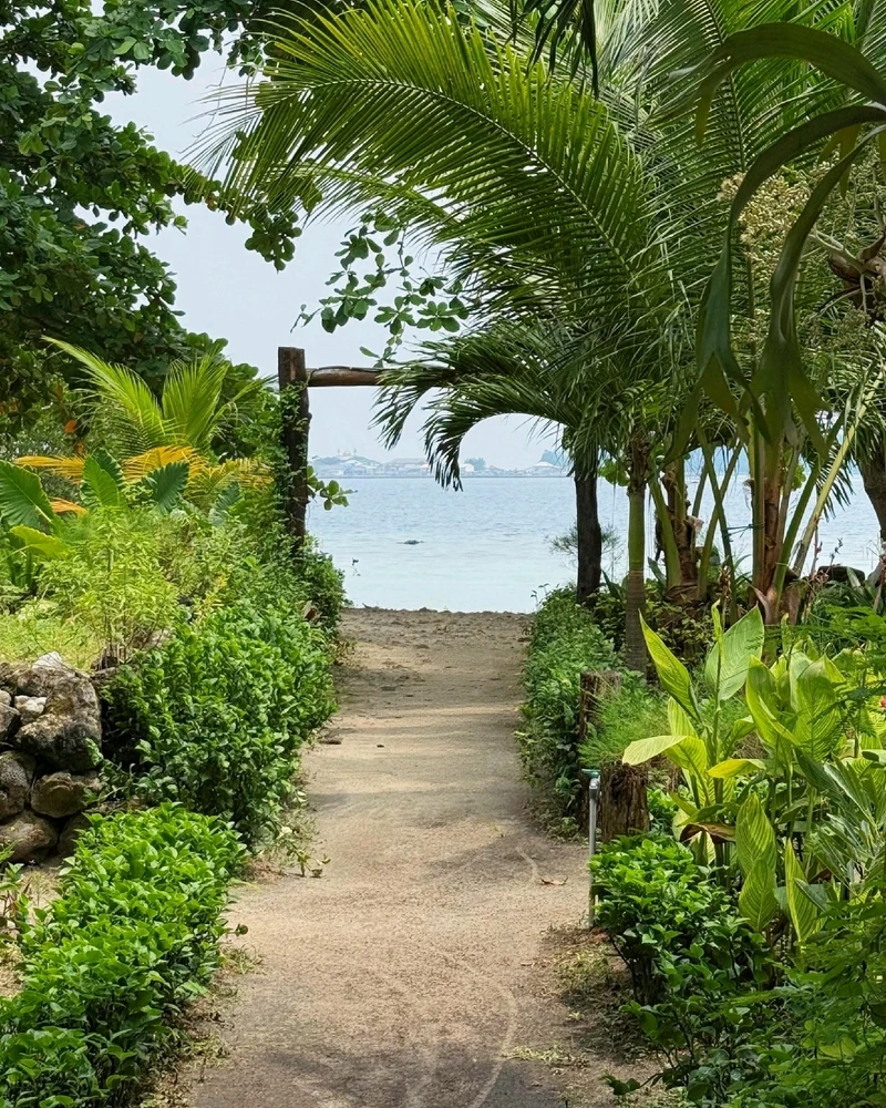 Image uploaded by Diane