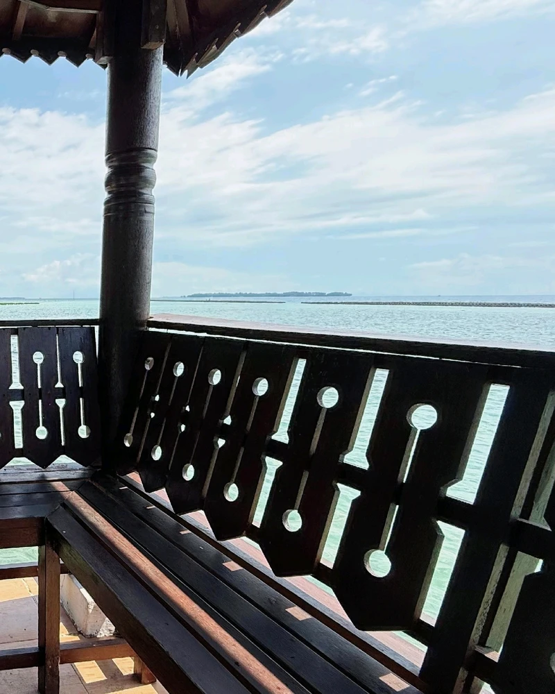 Image uploaded by Diane