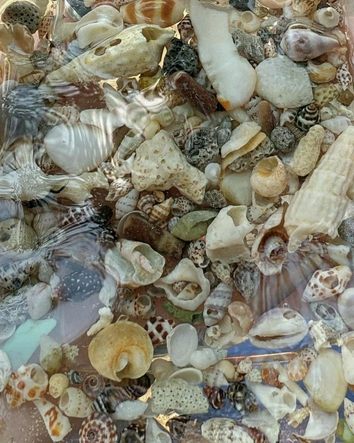 Image uploaded by Diane