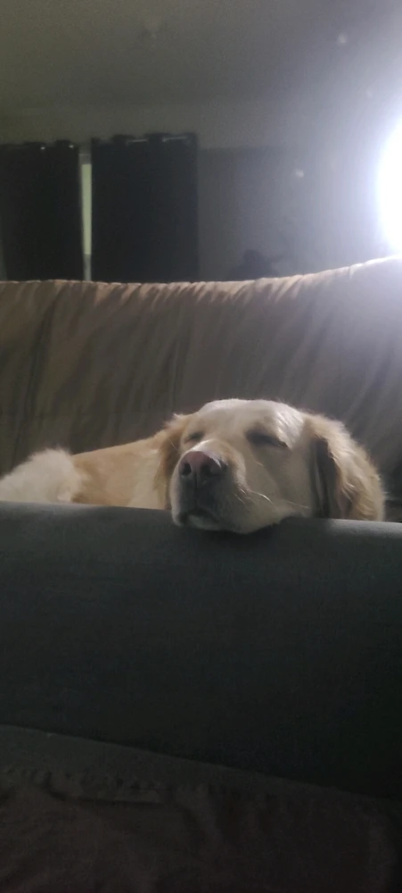 GIF subido por Carlos