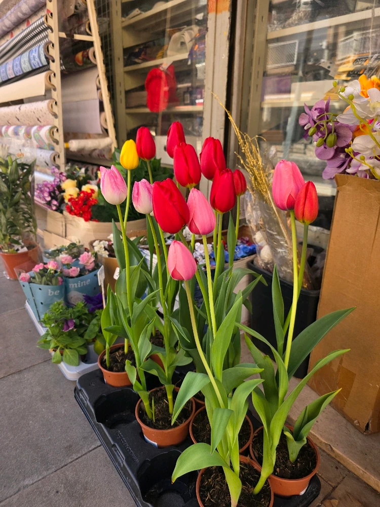 Image uploaded by Bayron