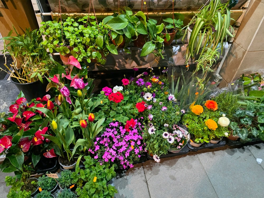 Image uploaded by Bayron