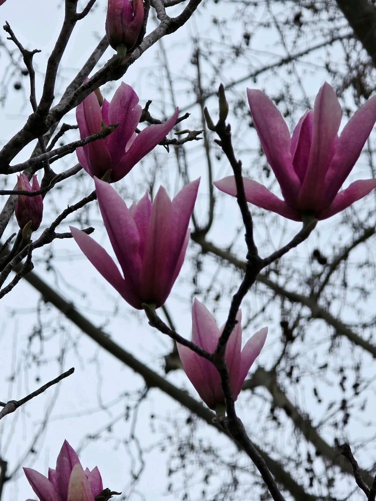 Image uploaded by Bayron