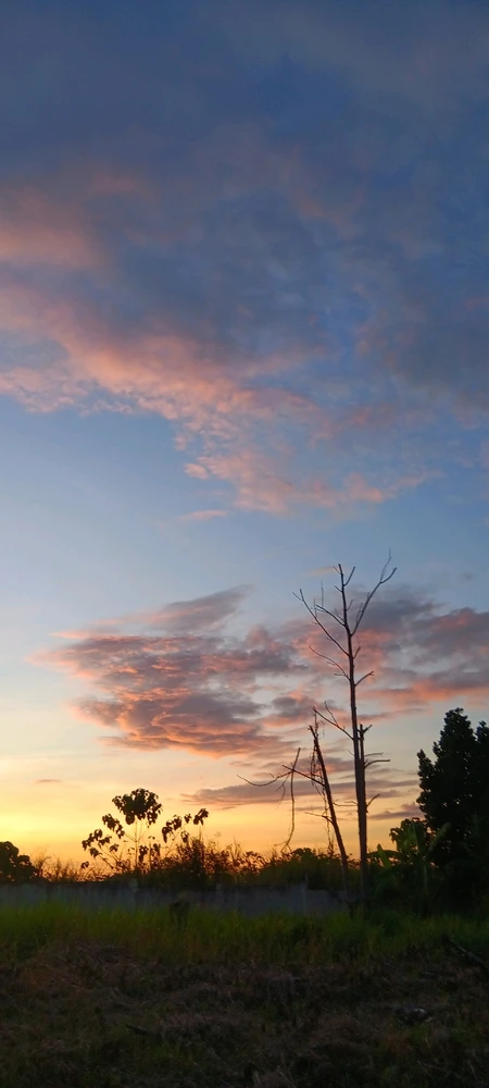 Image uploaded by Cherry