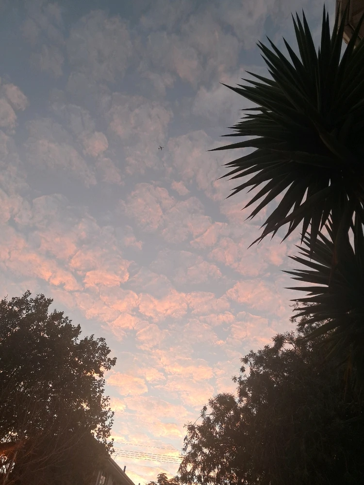 GIF uploaded by Luke