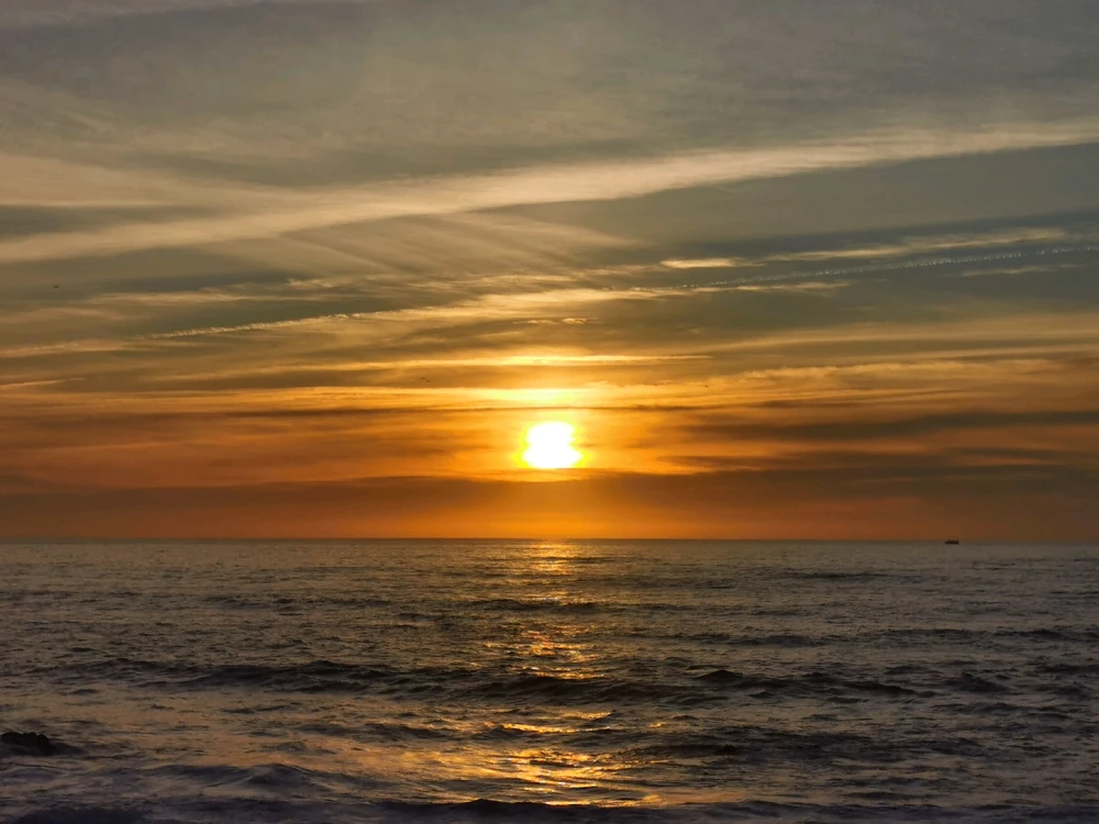 Image uploaded by Sergio