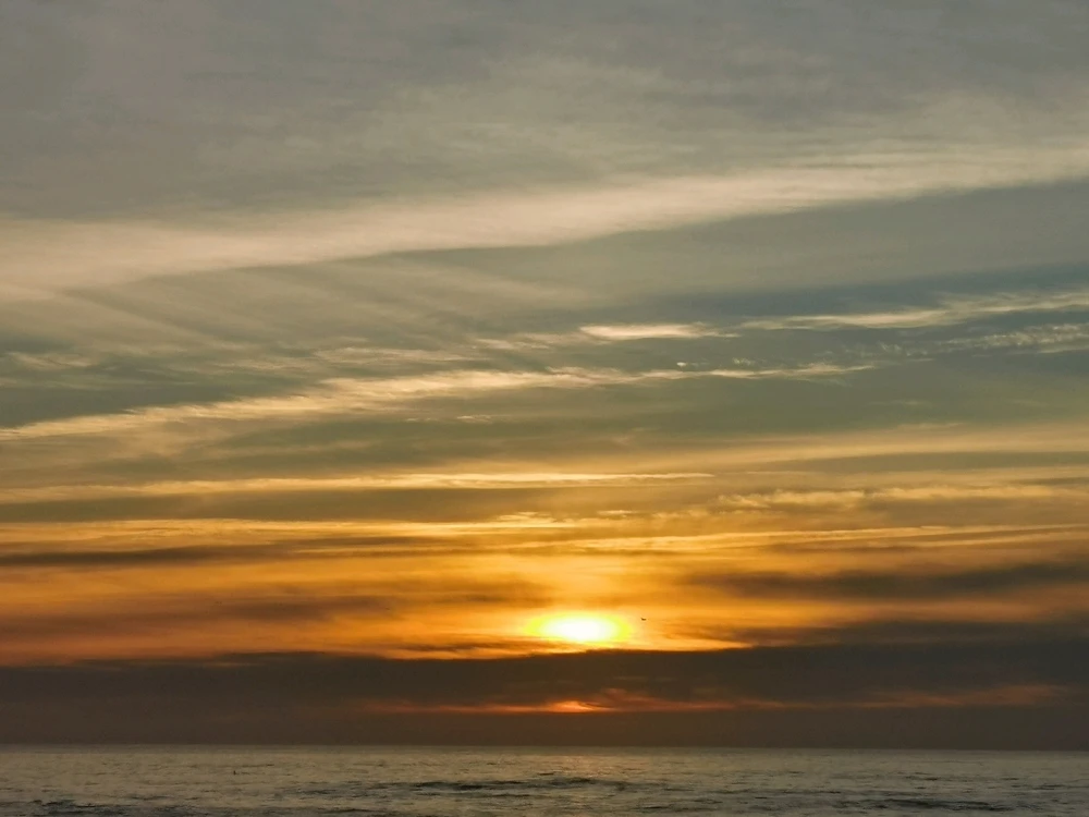 Image uploaded by Sergio