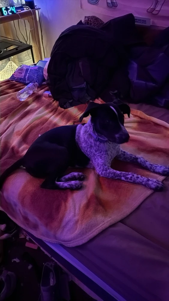 Image uploaded by Amber