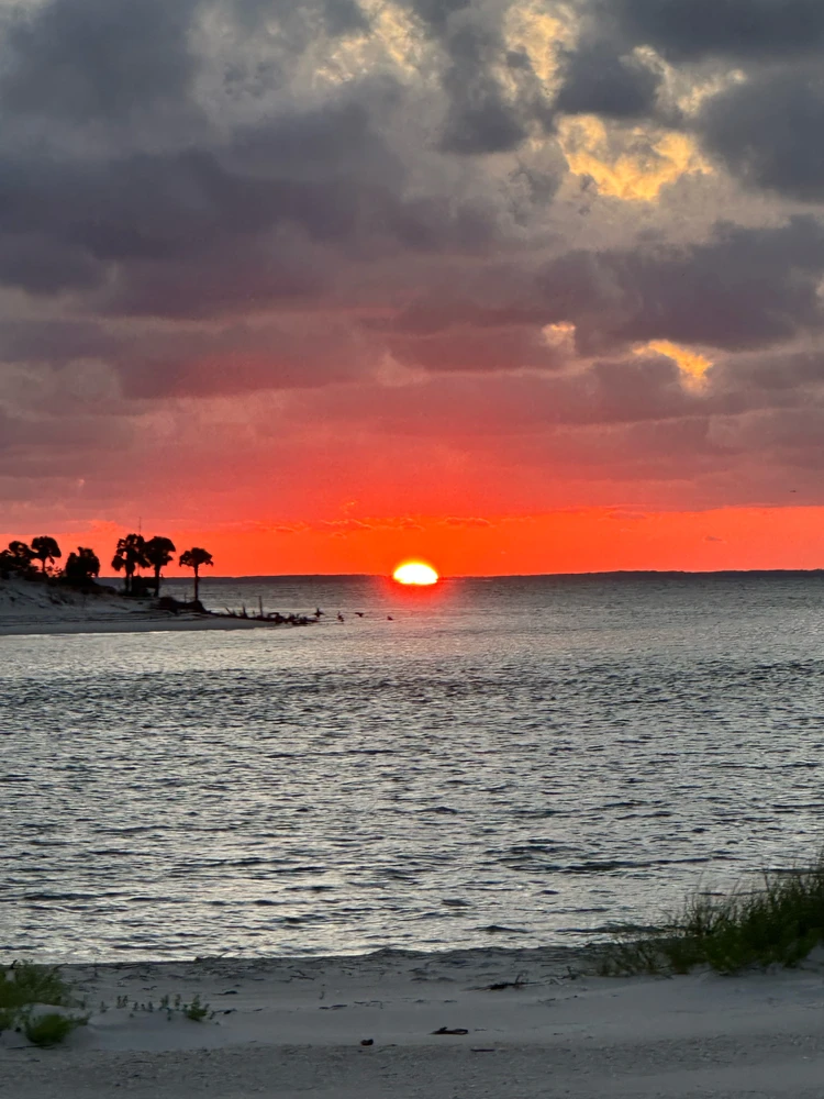 GIF uploaded by Noah