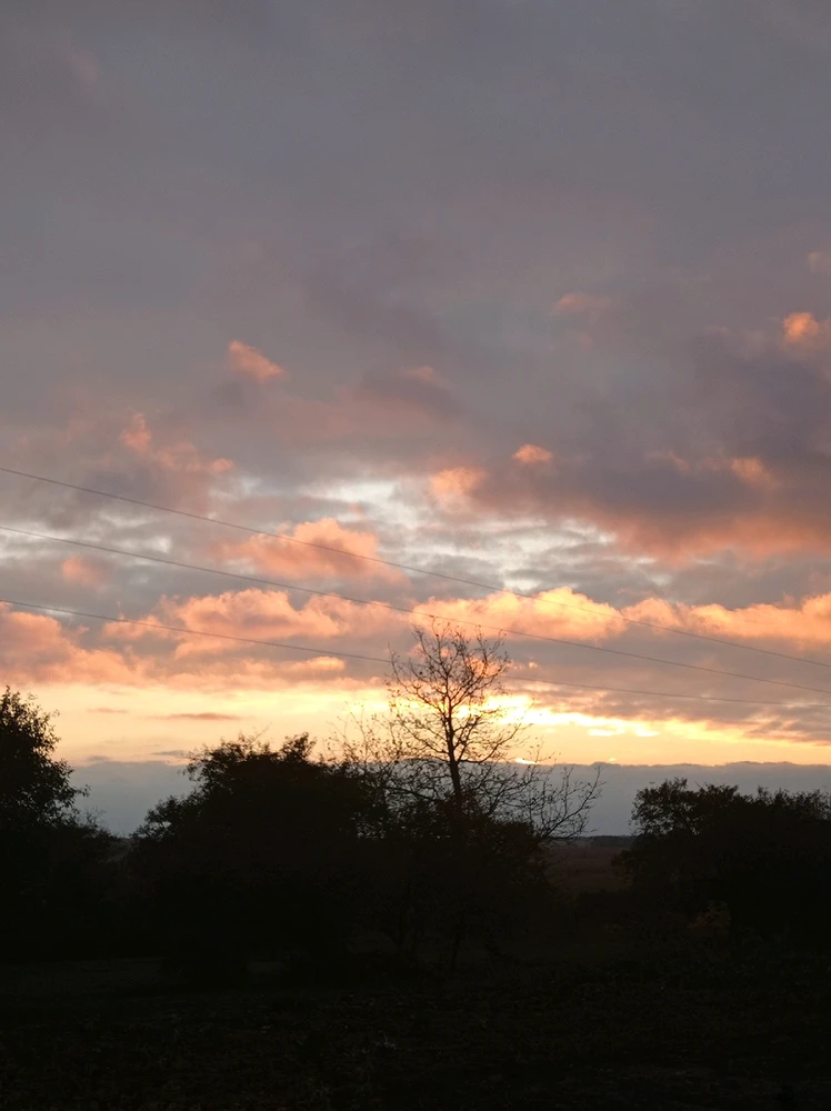 GIF uploaded by Alena