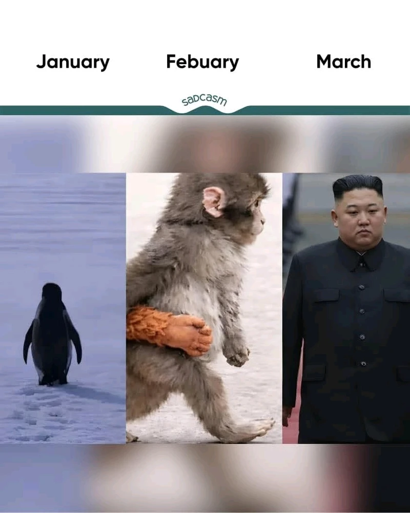 GIF uploaded by A Cash