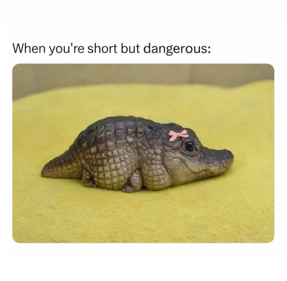 GIF uploaded by 🌙✨ℳℯ𝓁𝒶𝓃𝒾𝓆𝓊ℯ✨🌙