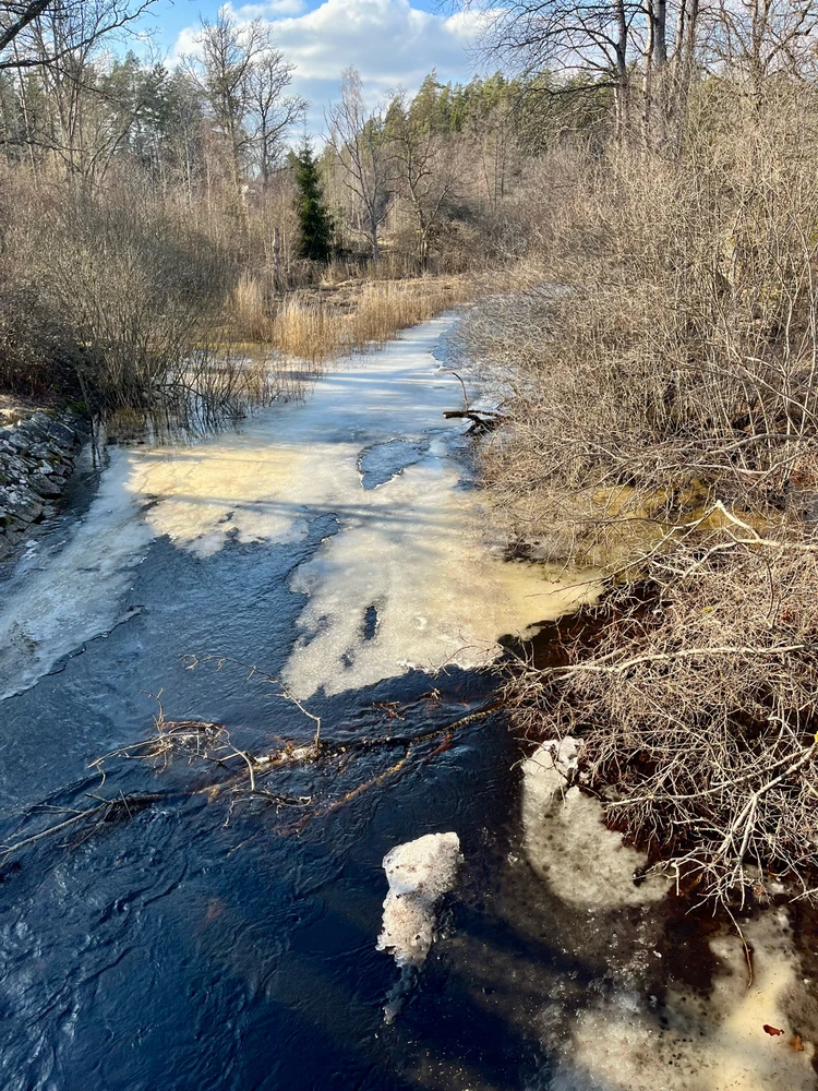 Image uploaded by Fredric