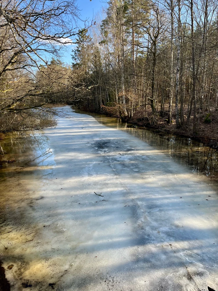 Image uploaded by Fredric