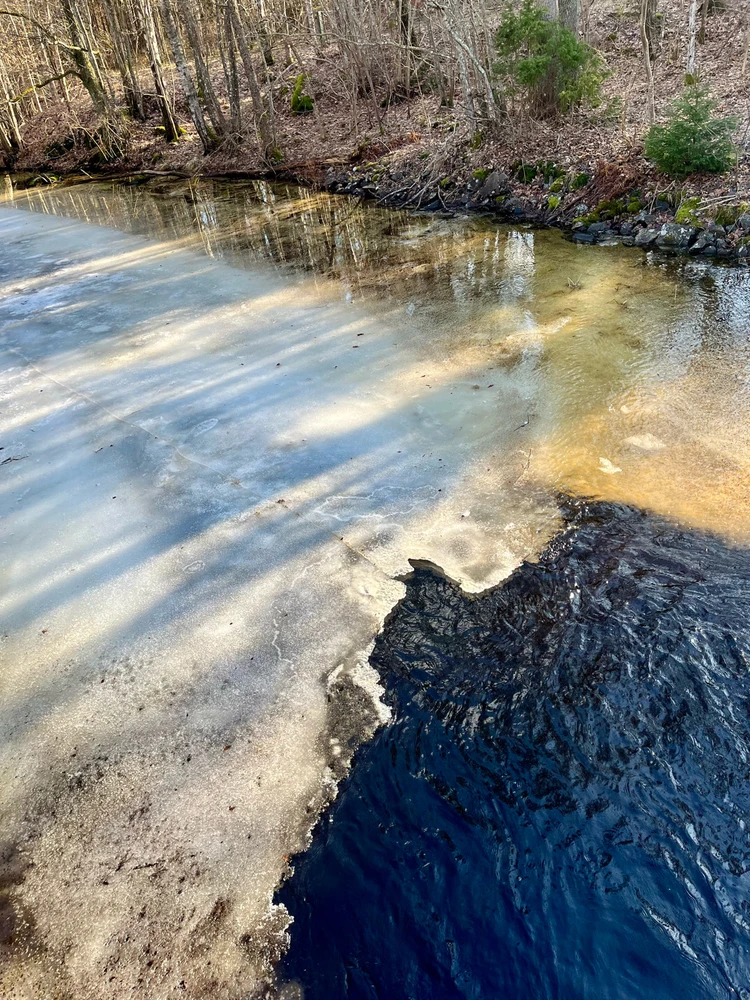 Image uploaded by Fredric