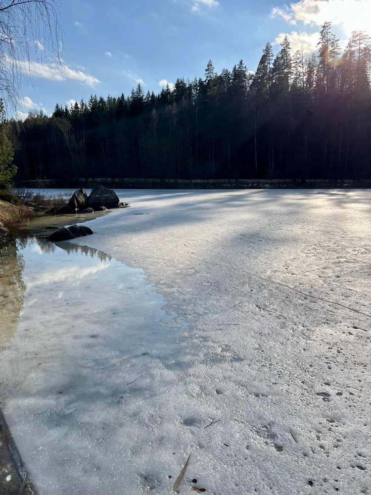 Image uploaded by Fredric