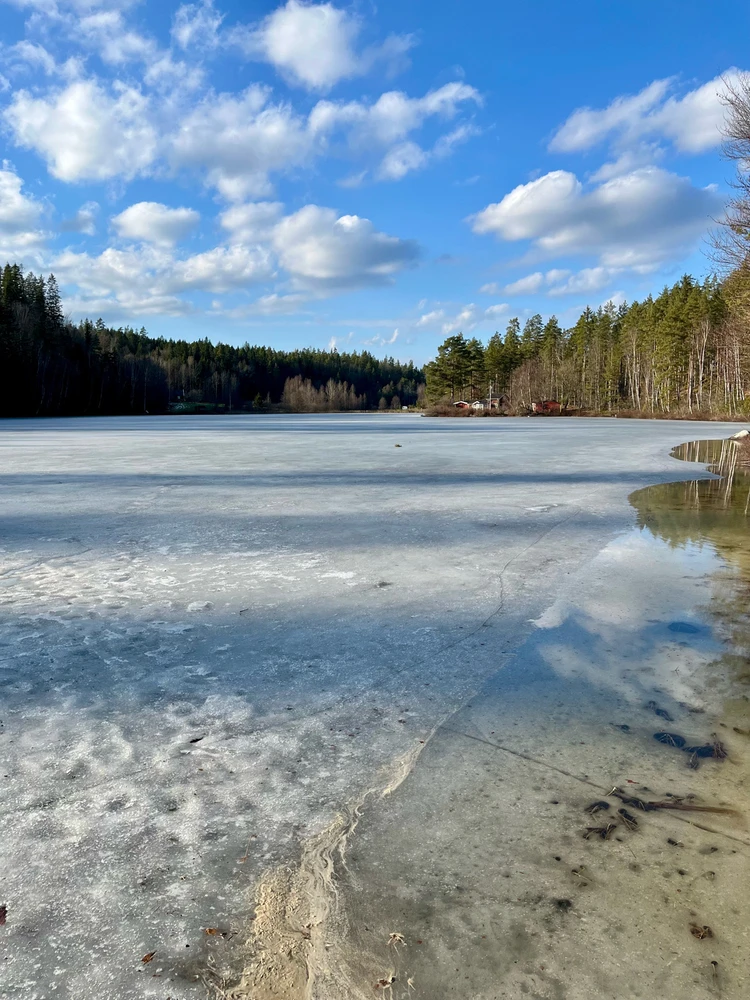 Image uploaded by Fredric