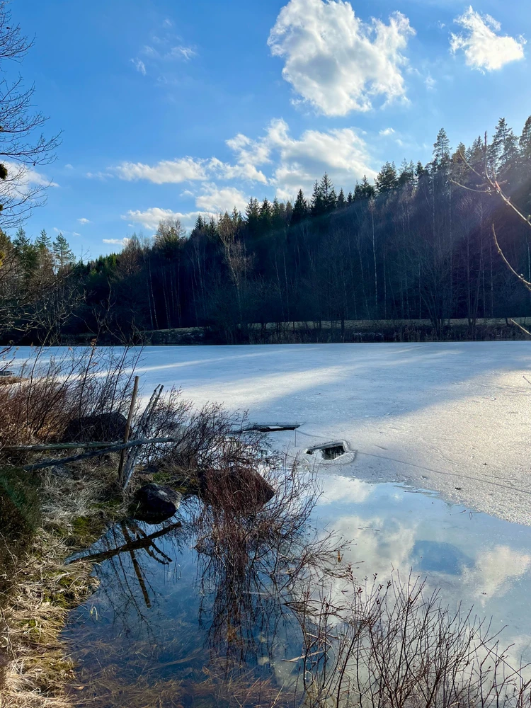 Image uploaded by Fredric