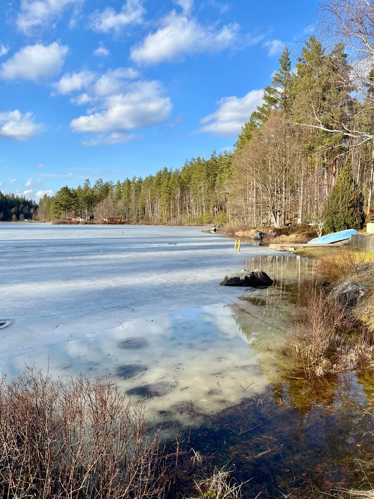 Image uploaded by Fredric