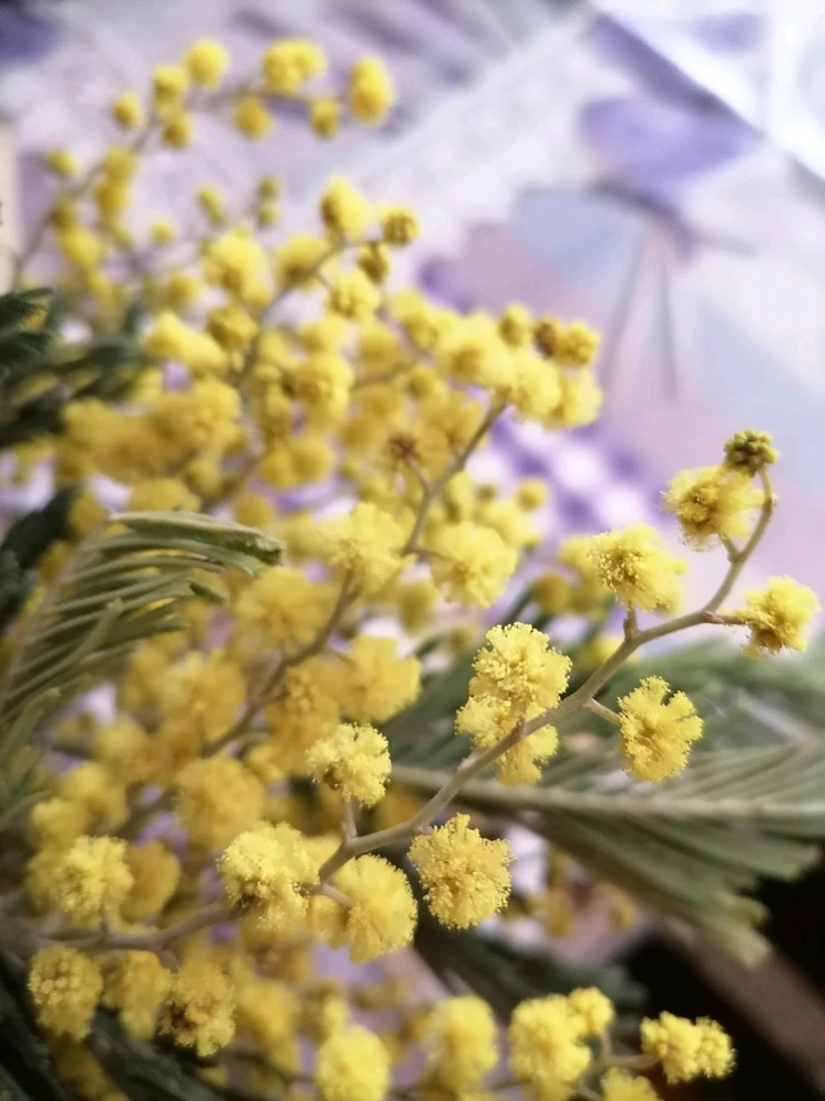 GIF uploaded by Kate