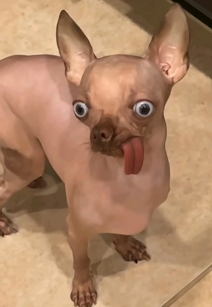 Immagine caricata da Safary zahira