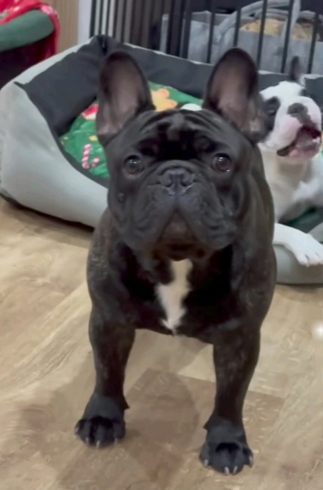 Immagine caricata da Safary zahira