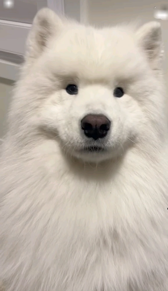 Immagine caricata da Safary zahira