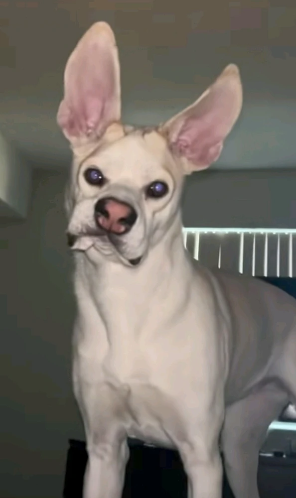 Immagine caricata da Safary zahira