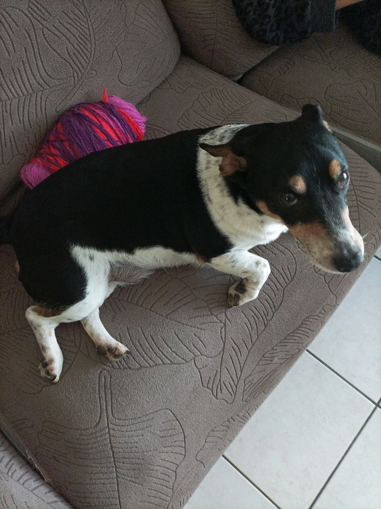 Image ajoutée par Gregoire