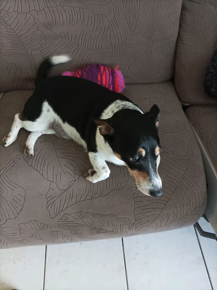 Image ajoutée par Gregoire