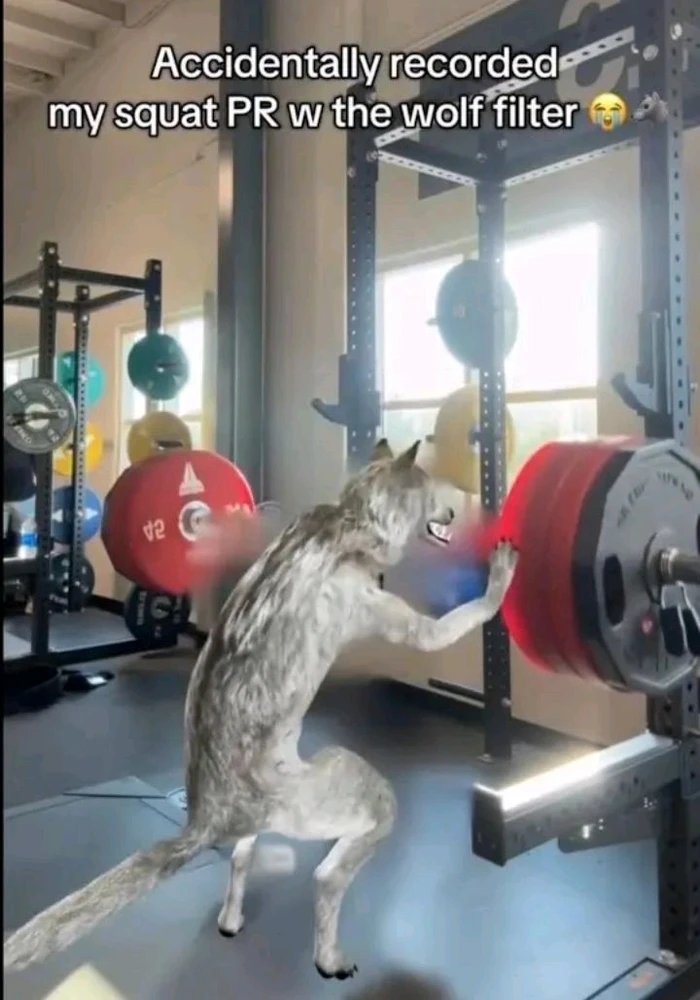 GIF uploaded by Meghna