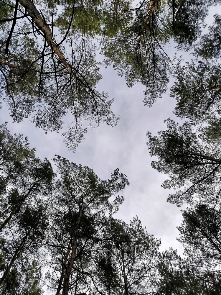 GIF dodany przez Joanna