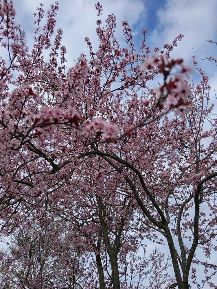 GIF caricata da Emily