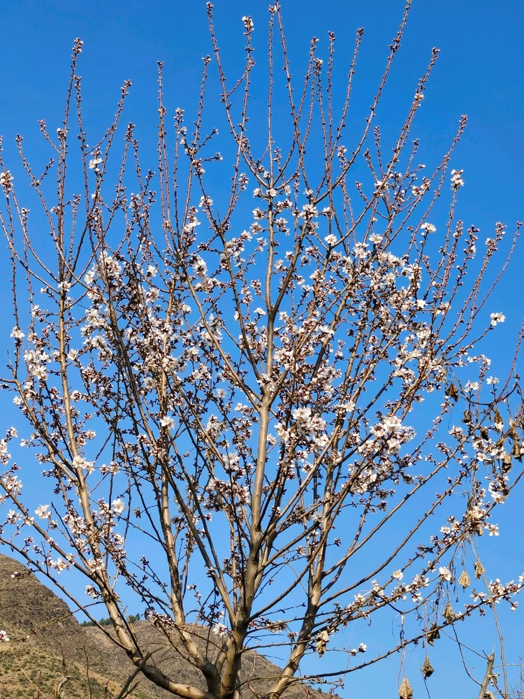 GIF uploaded by Kashif