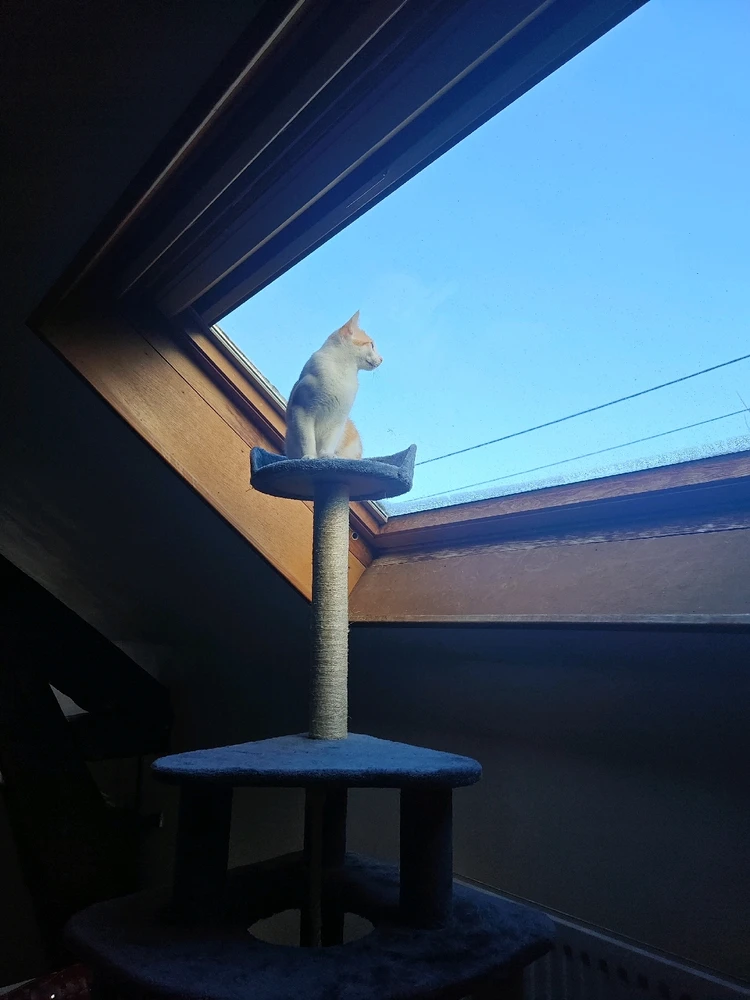 GIF ajouté par Thomas