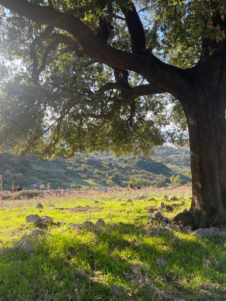 Immagine caricata da Marco