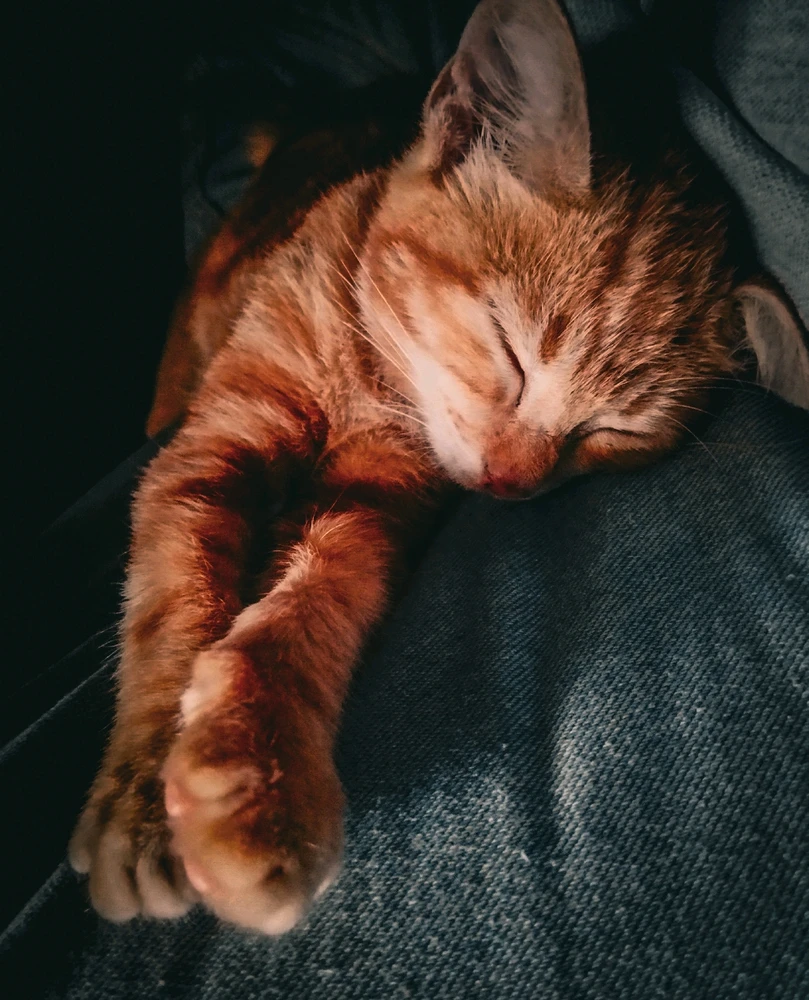 GIF uploaded by Tianz