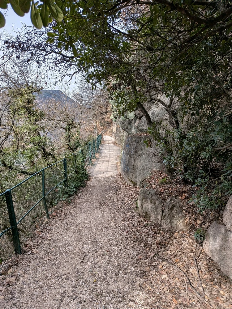 Immagine caricata da Diego