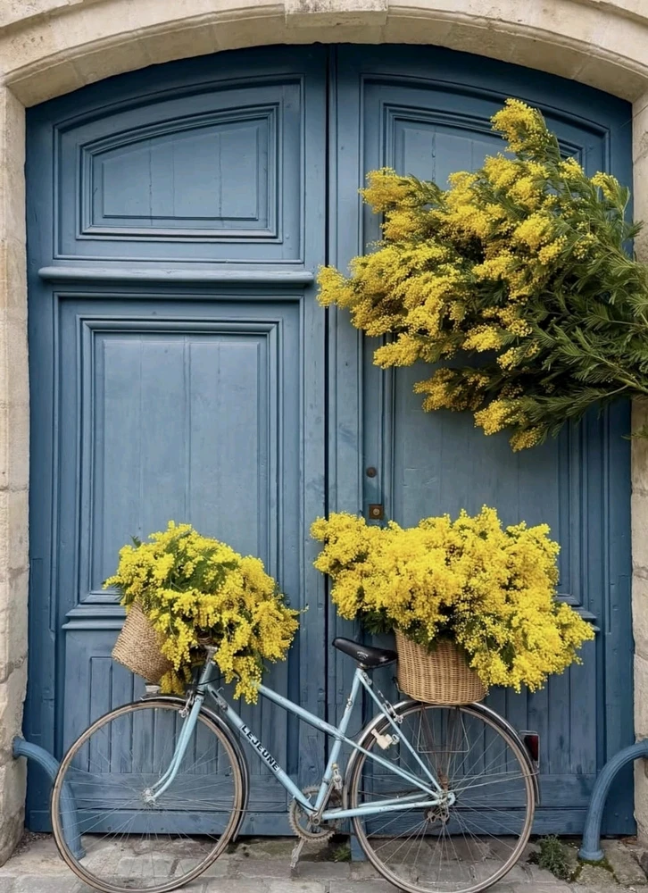 GIF uploaded by Marcos