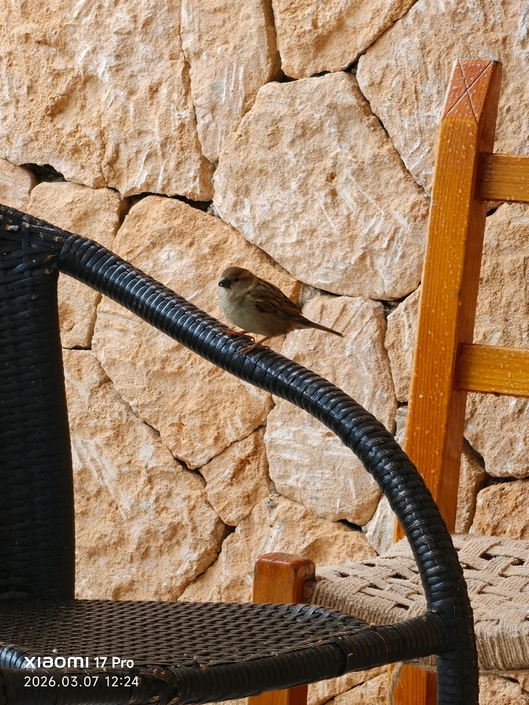 Imagen subida por Msd