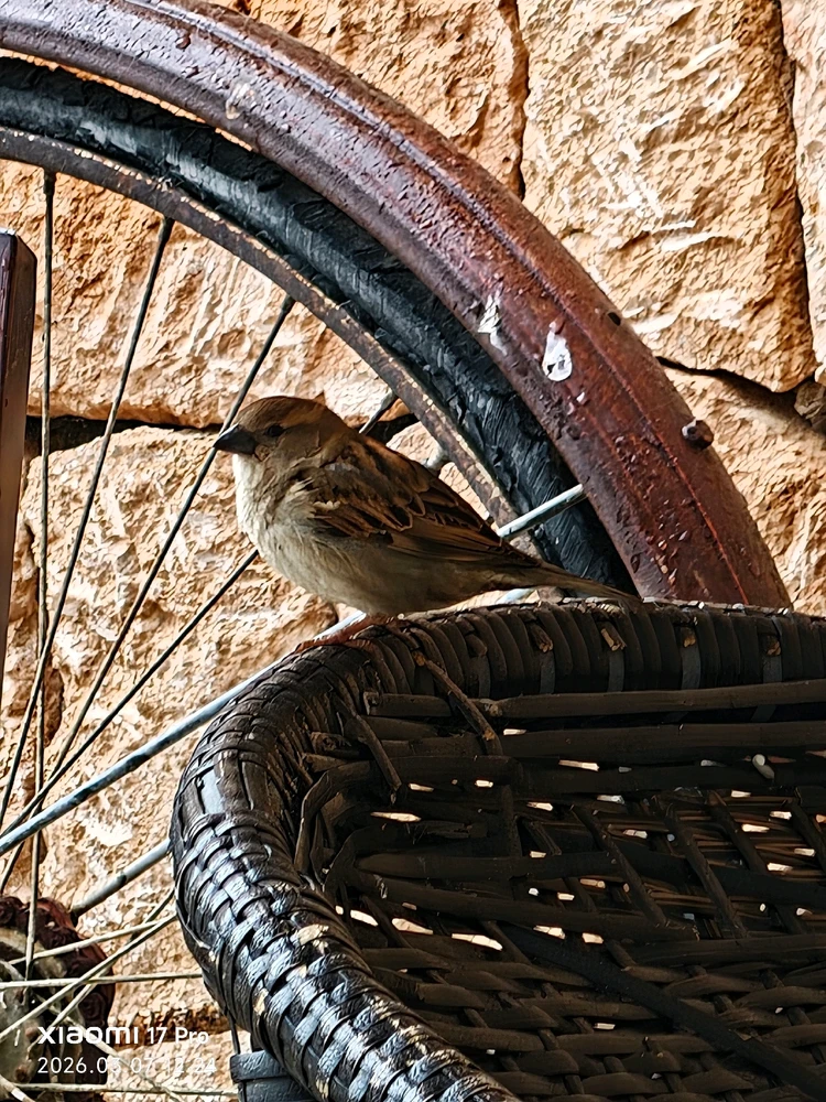 Imagen subida por Msd