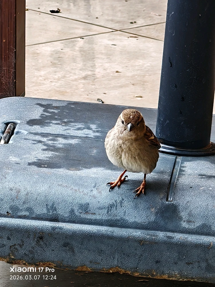 Imagen subida por Msd