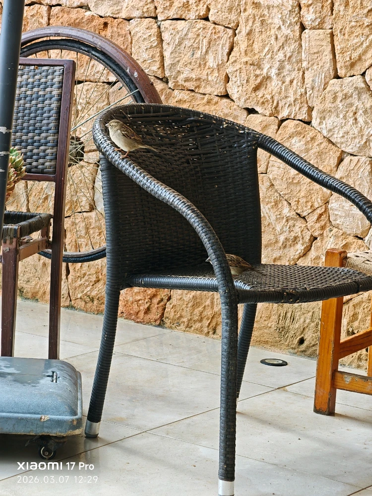 Imagen subida por Msd