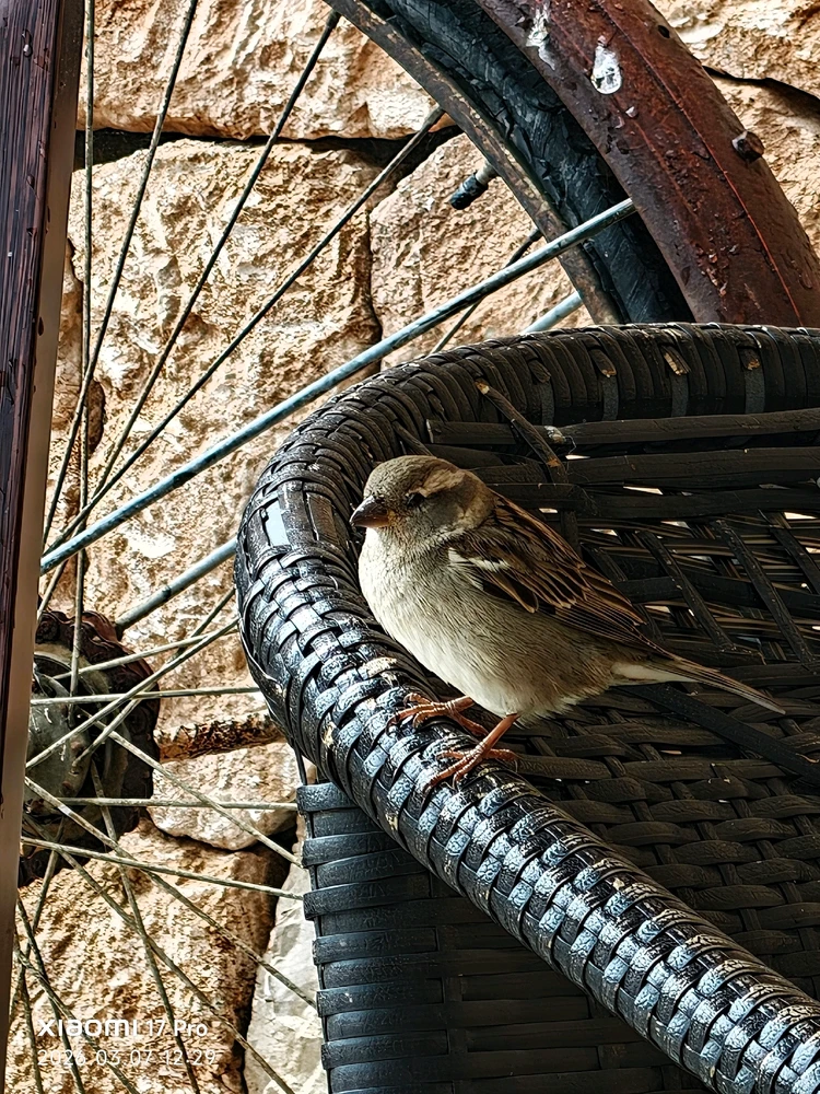 Imagen subida por Msd